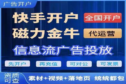 谷歌竞价广告的投放策略与成功案例分析